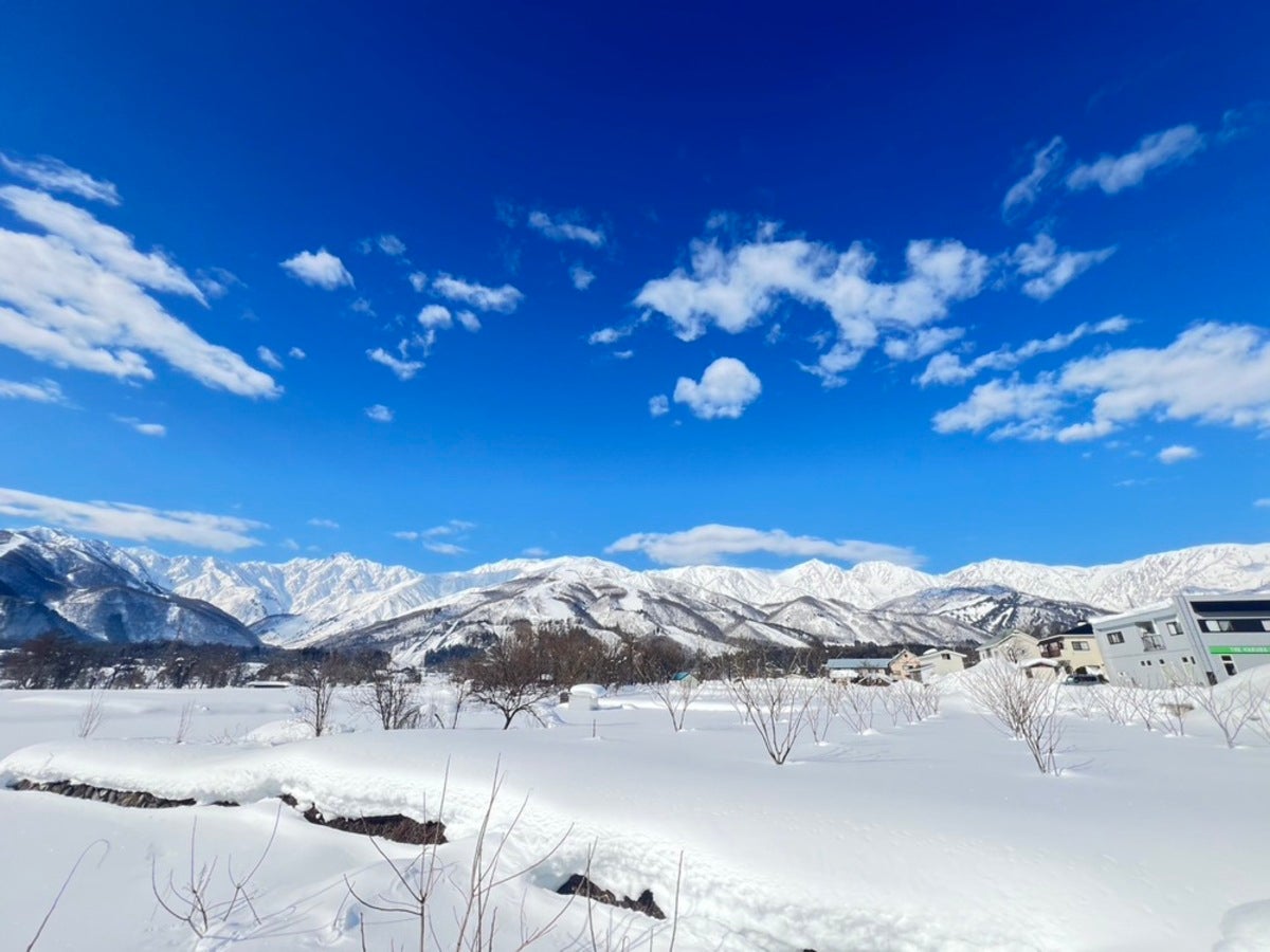白馬の雪景色風景