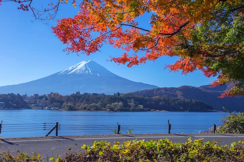 河口湖の湖北ビューライン。紅葉の先に富士山が見える