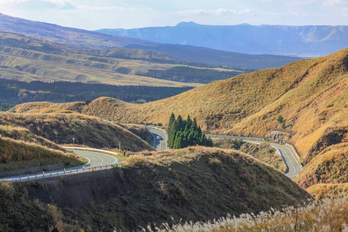 阿蘇・箱石峠のワインディングロード、黄金色の草原に囲まれた曲線美と遠くに広がる外輪山の雄大な景色