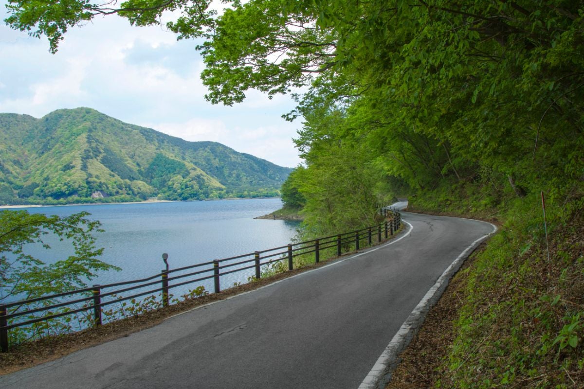 山梨県本栖湖の湖畔道路と新緑の木々、富士五湖の絶景ドライブスポット