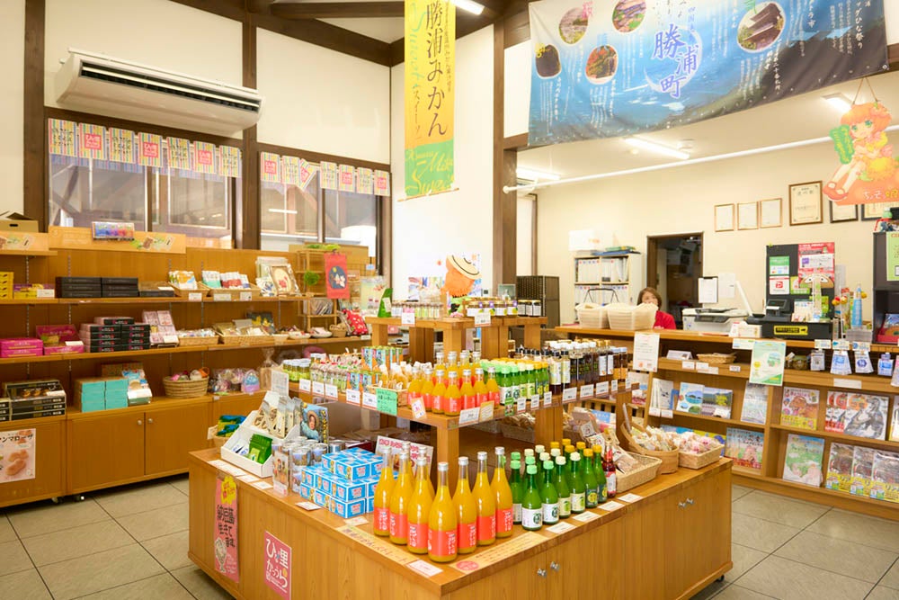 道の駅ひなの里かつうら物産館の店内