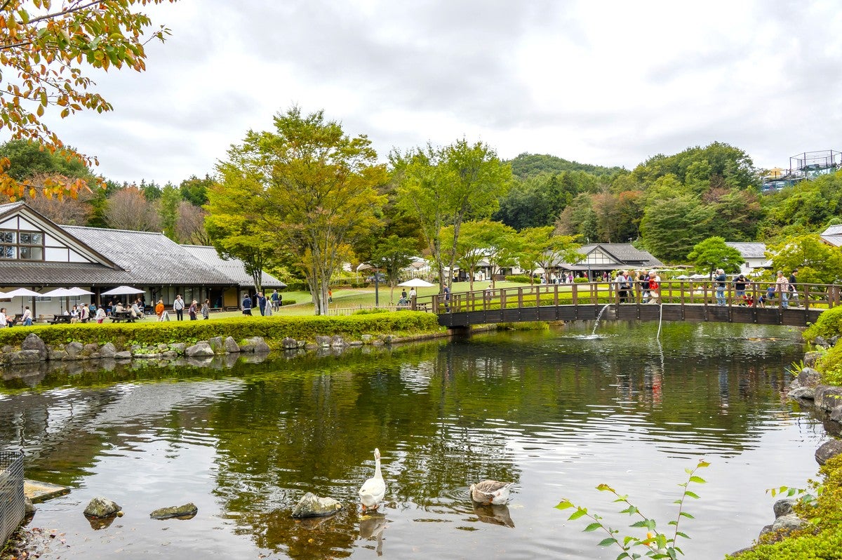 道の駅内の池をメインとした風景