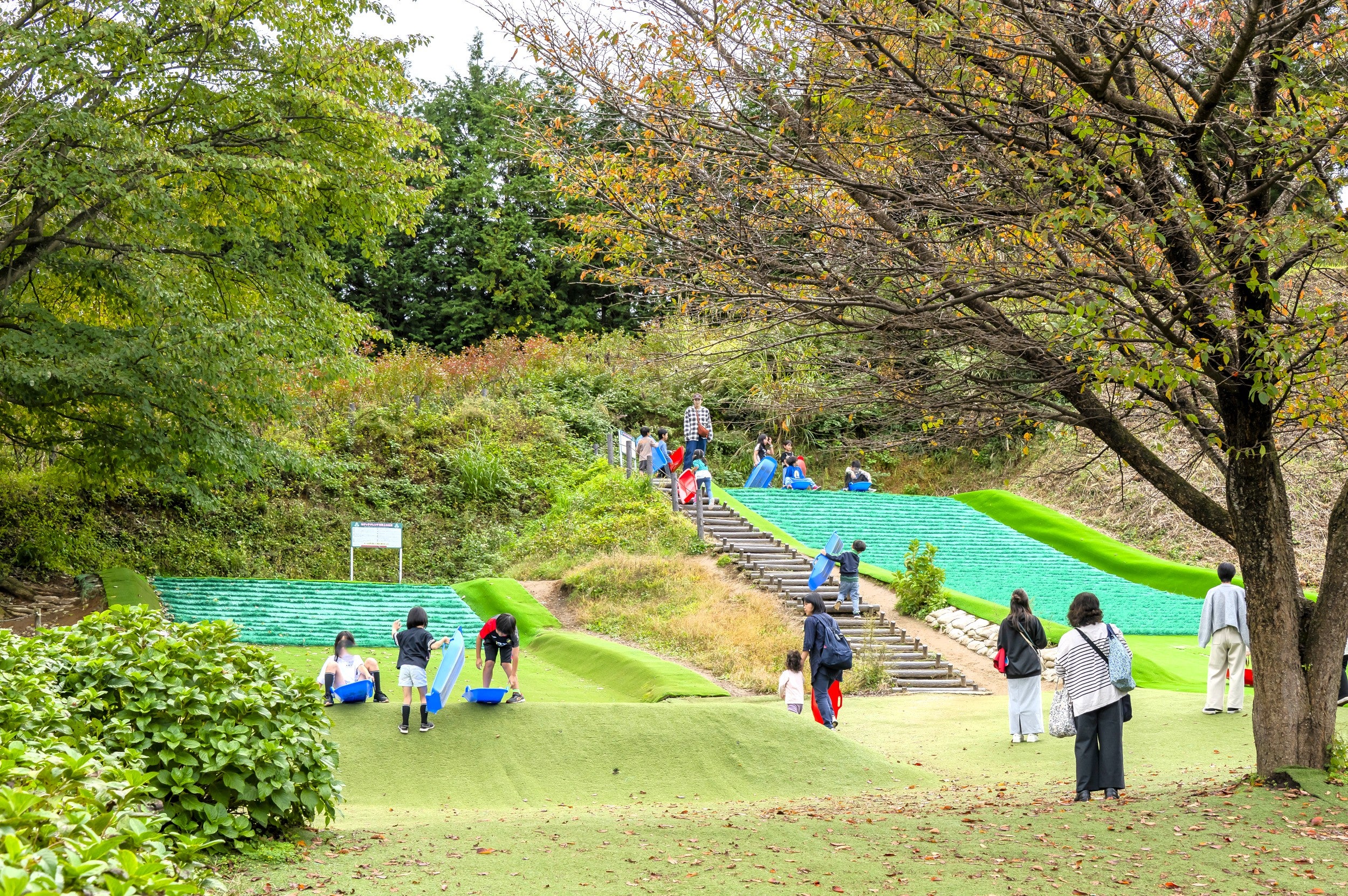 ソリ遊び場の全景