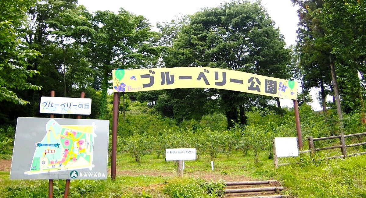 ブルーベリー公園の入り口