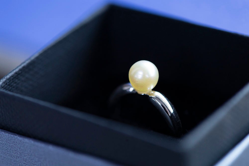 手作りの真珠アクセサリーに加工できる、アコヤ真珠取出し体験