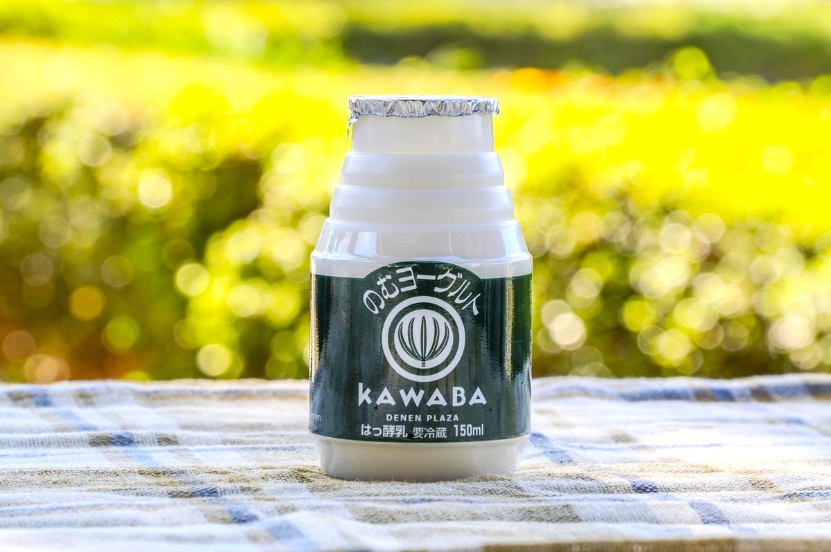 テーブルの上に置いた飲むヨーグルトのプラボトル