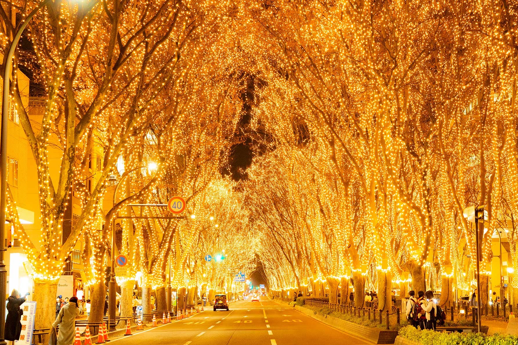 SENDAI光のページェント