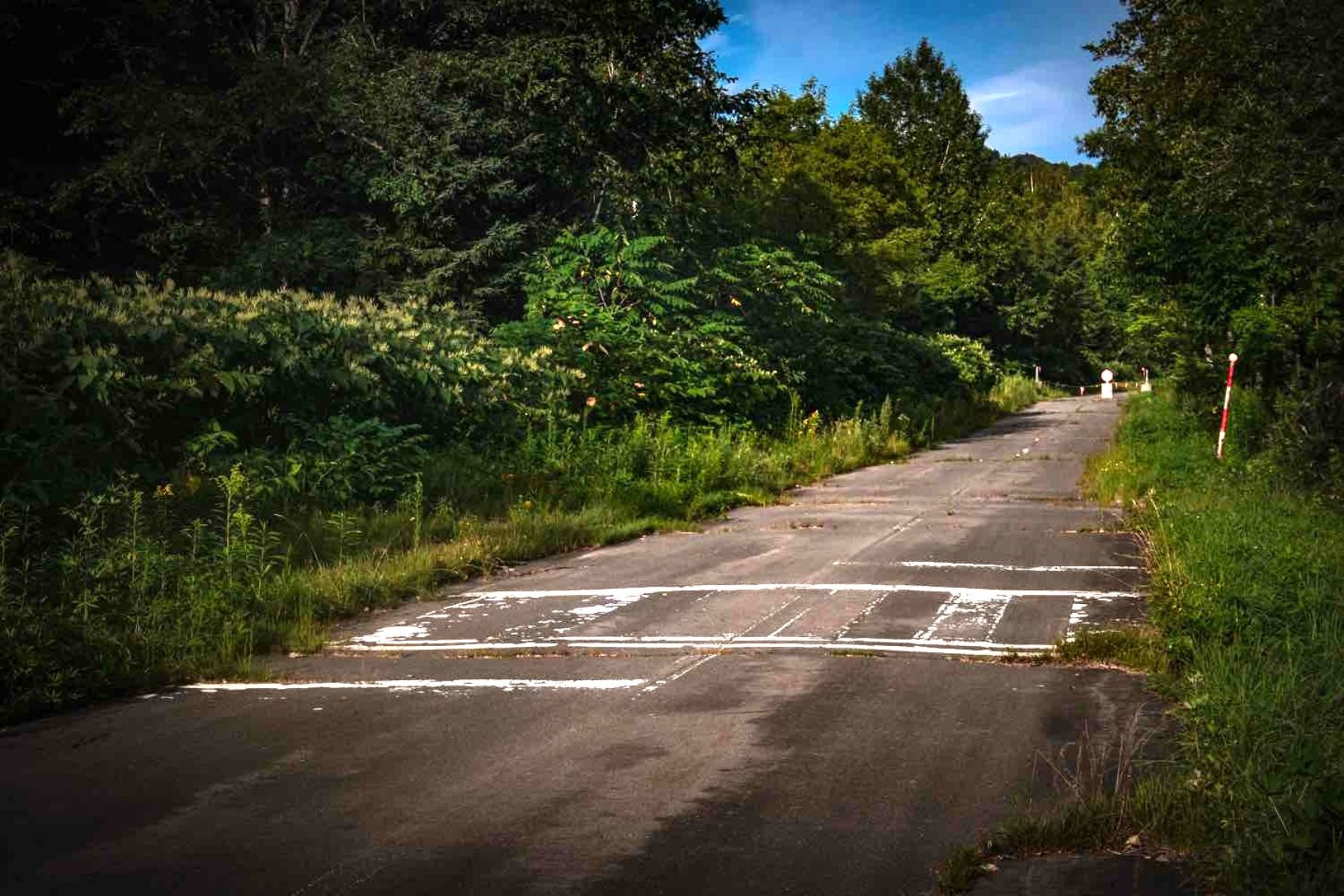 梯子型横断歩道