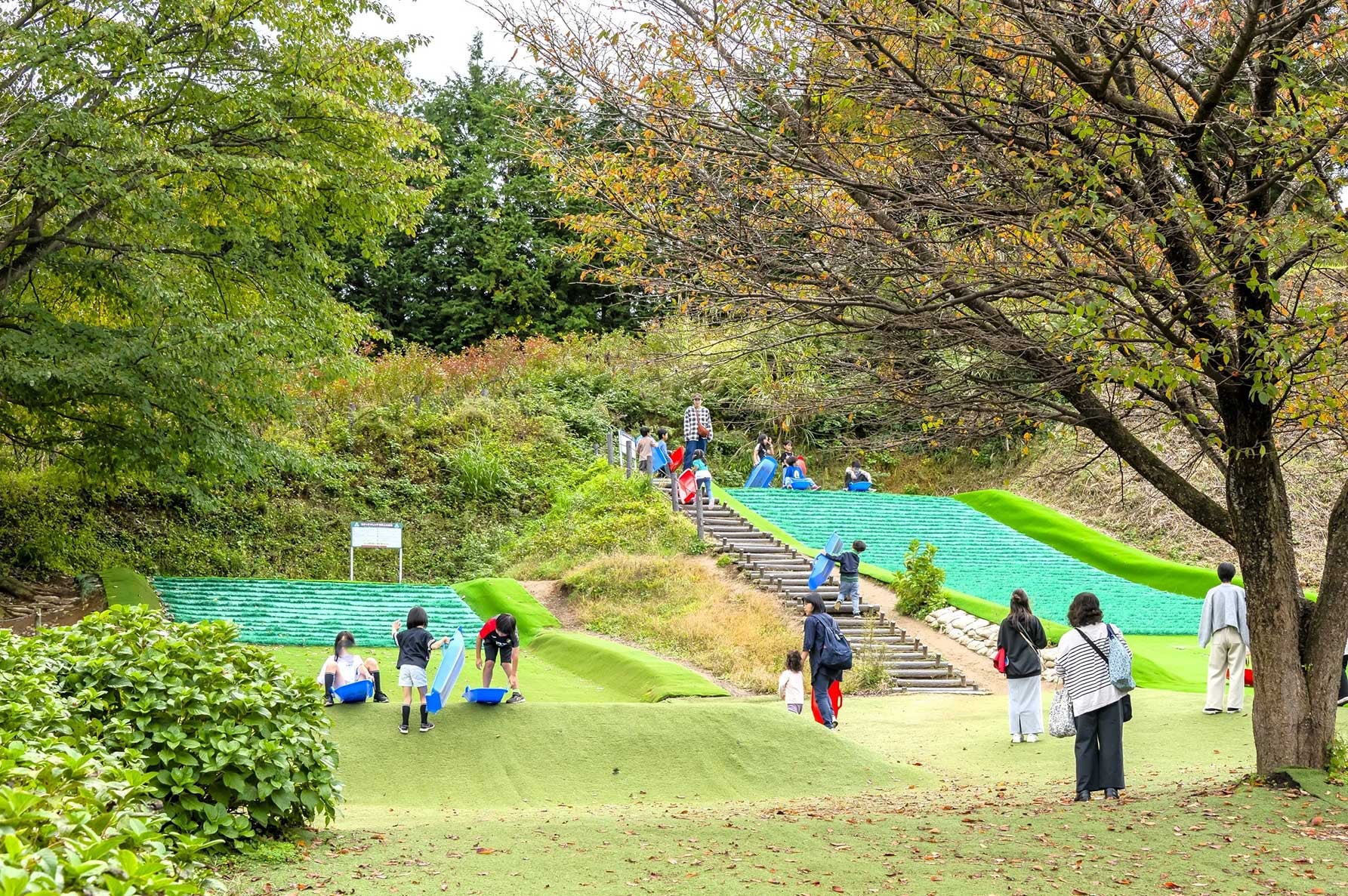 ソリ遊び場の全景
