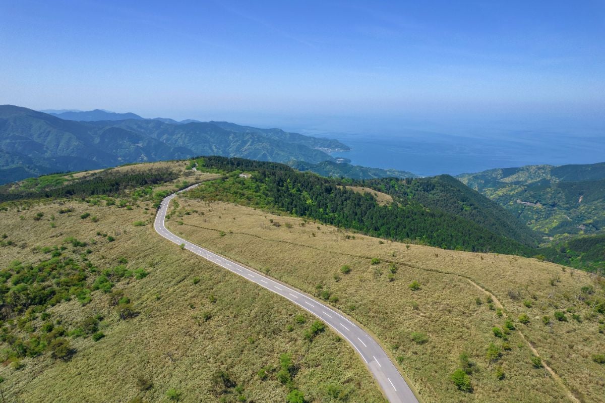 西伊豆スカイラインのワインディングロードが稜線に沿って続き、眼下には青く広がる駿河湾と伊豆半島の山々