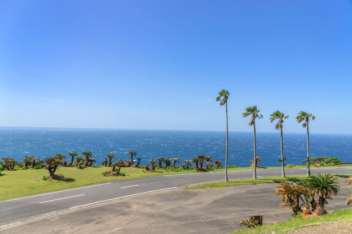 都井岬の海沿いを走る宮崎県道36号とヤシの木