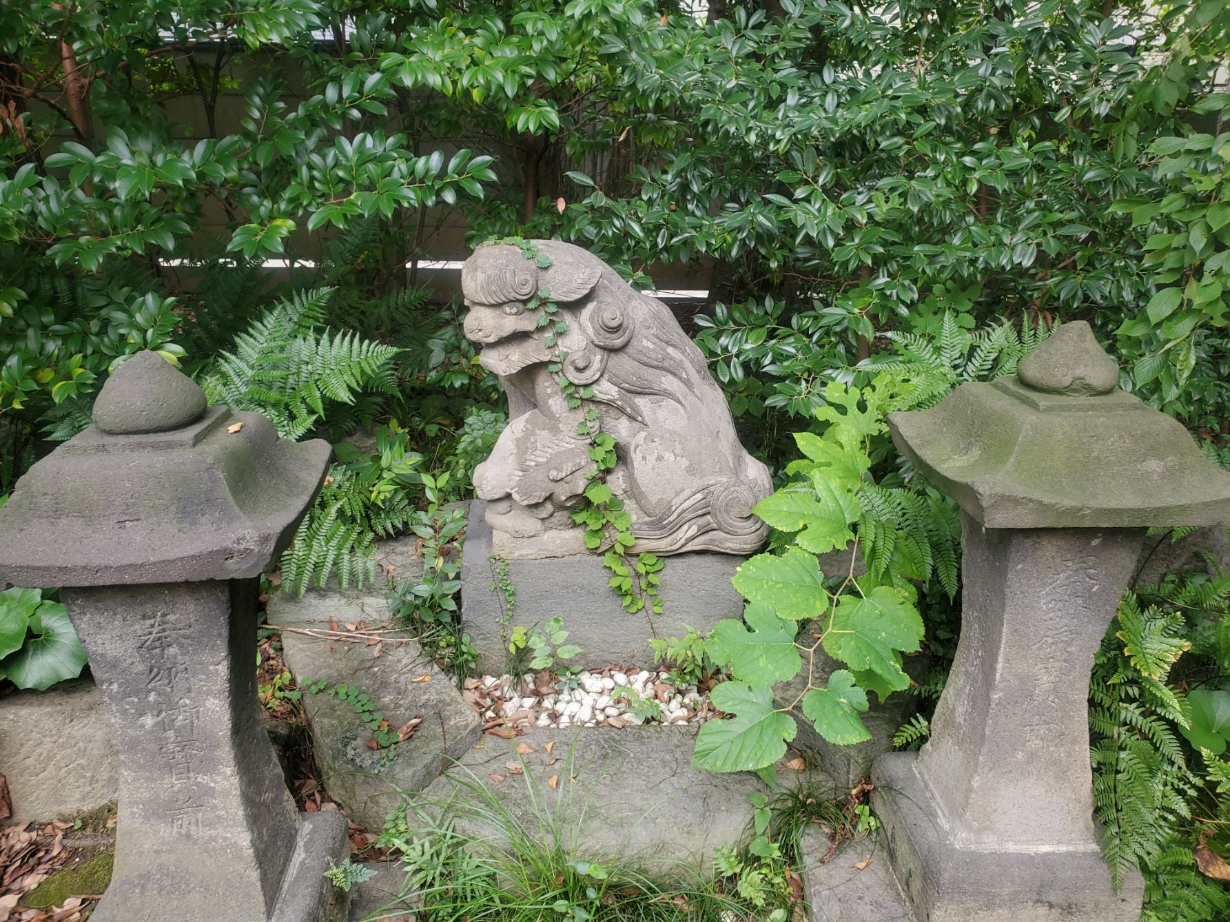 柵の中で大切に守られる「唸る狛犬」と足元の愛らしい子獅子。修繕跡から伝わる地域住民の愛。