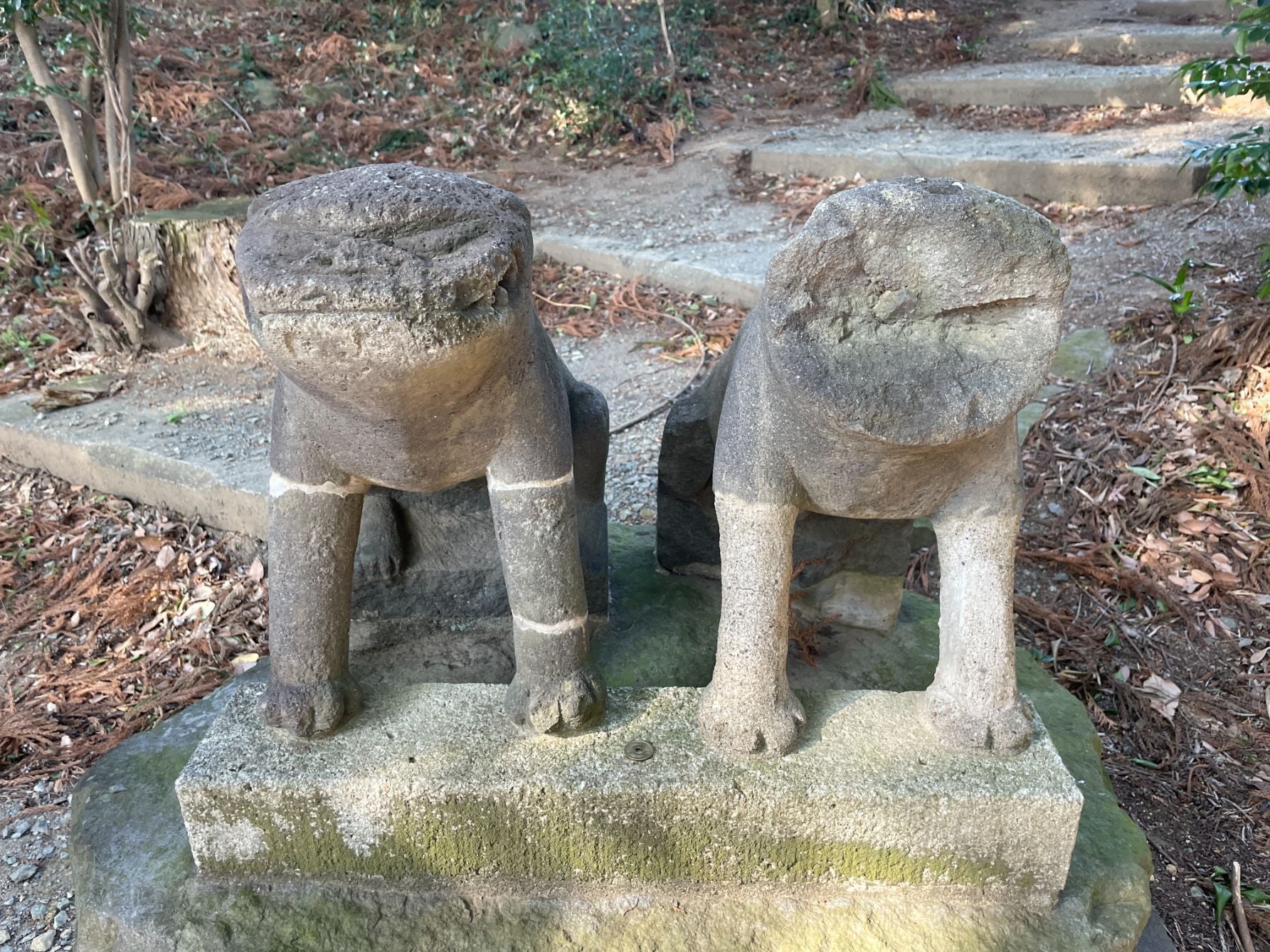 群馬・近戸神社の群馬県最古級狛犬。南北朝～室町時代の素朴さが愛おしい「はじめ型」の造形