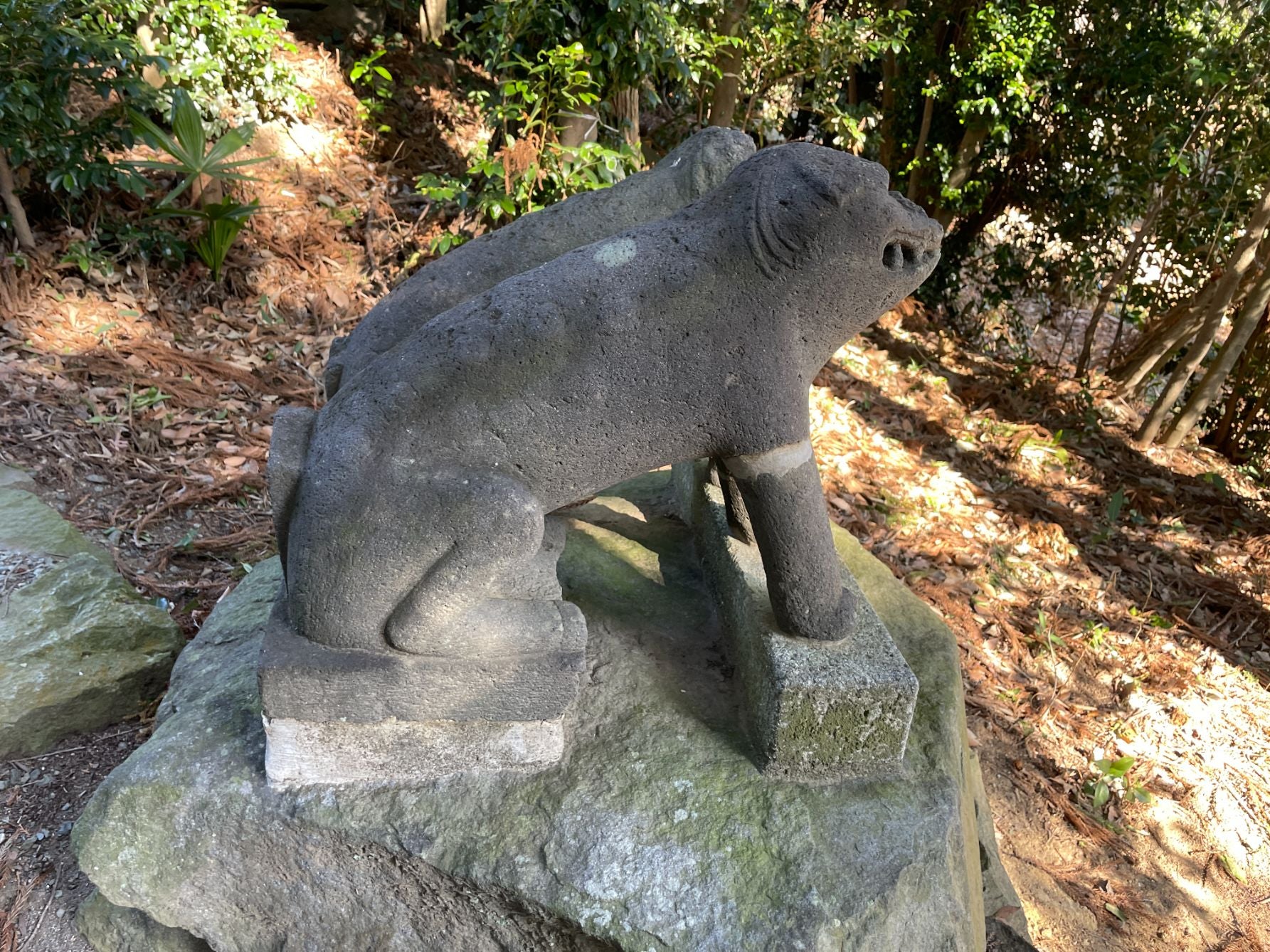 狛犬はフォルムやデザインで時代の個性も楽しめる。近戸神社の狛犬