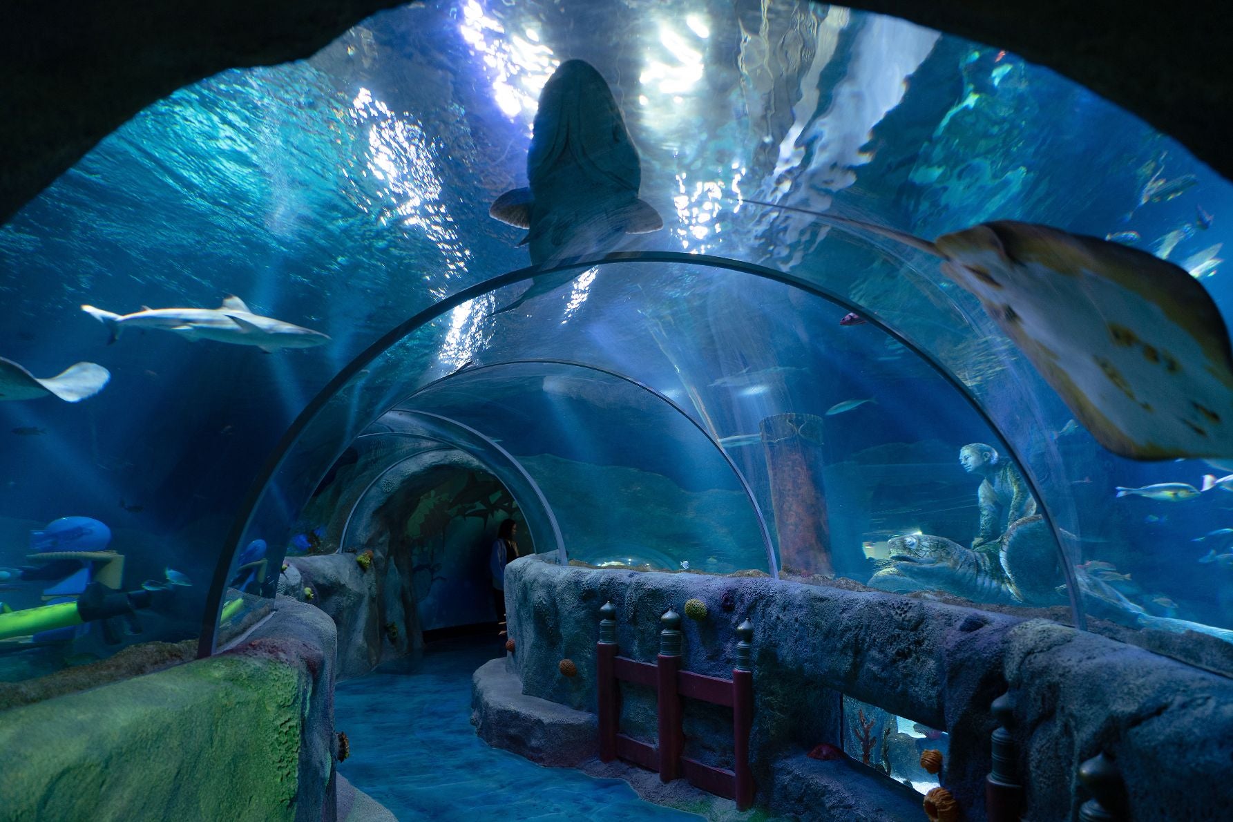 シーライフ名古屋