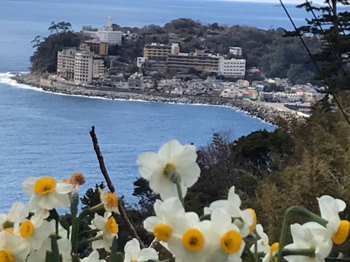 高台から望む海と稲取の町