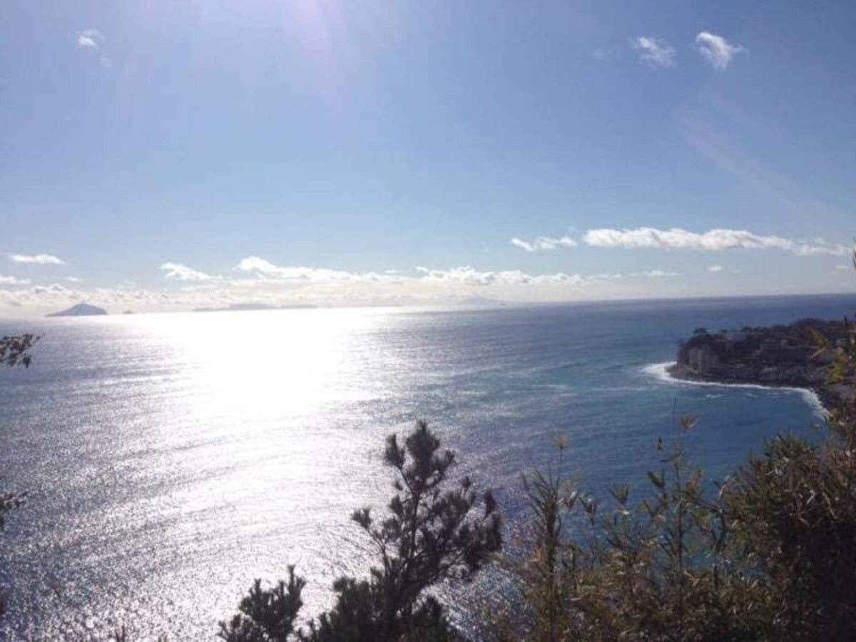 高台から海越しに見える伊豆七島