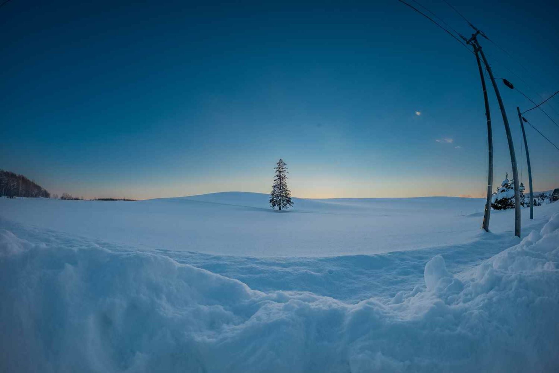実は近くに電線が通っている