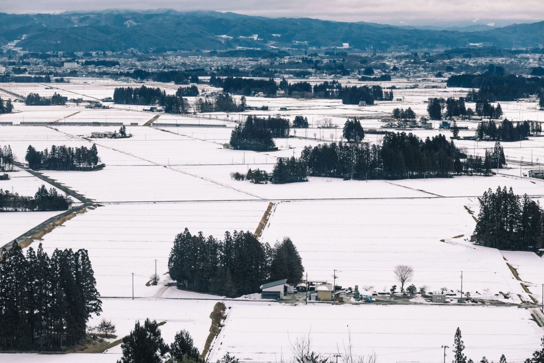 八坂神社。鳥居の向こうに広がる景色が絶景