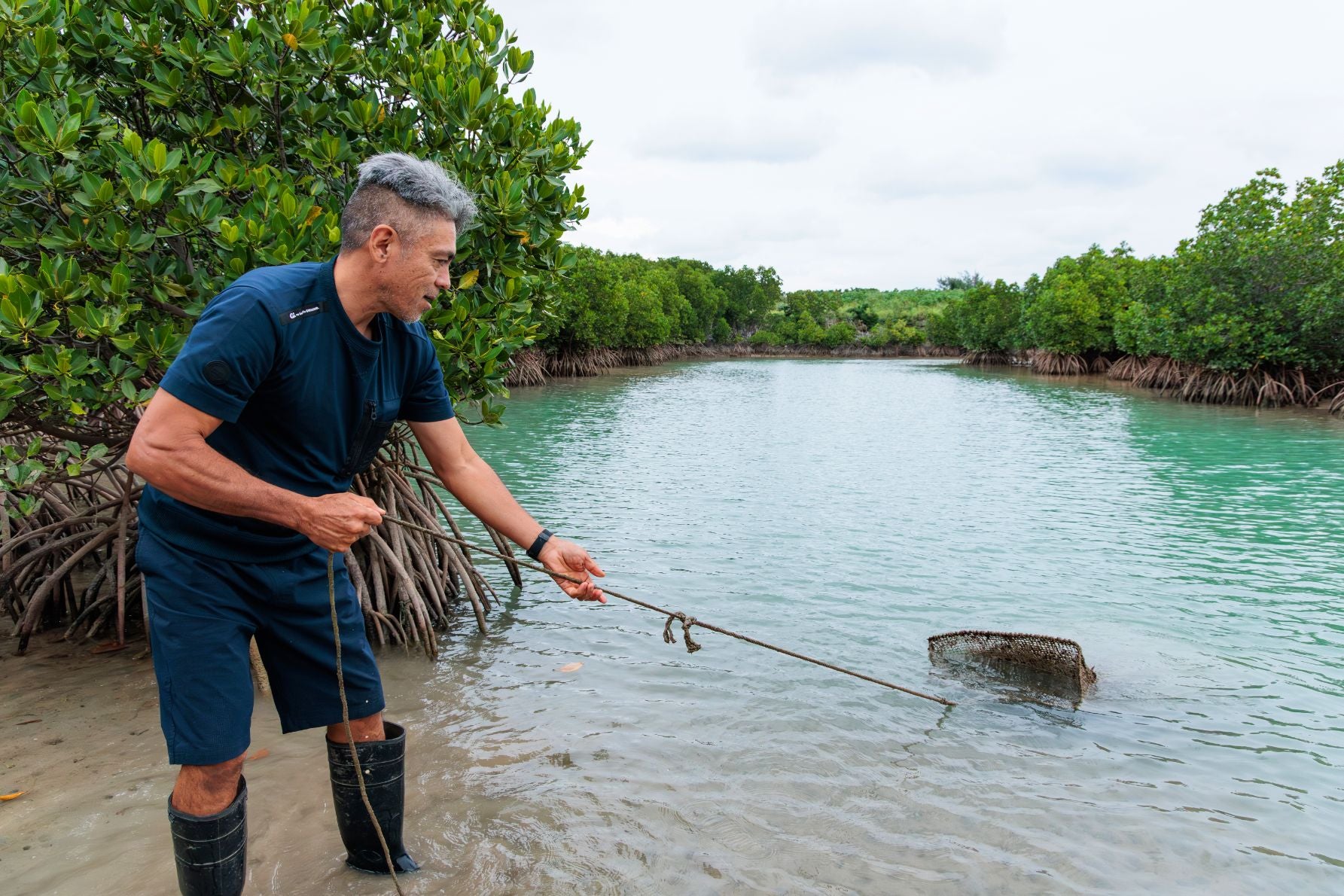 網から巨大なマングローブ蟹（ノコギリガザミ）が実際に引き上げられる様子