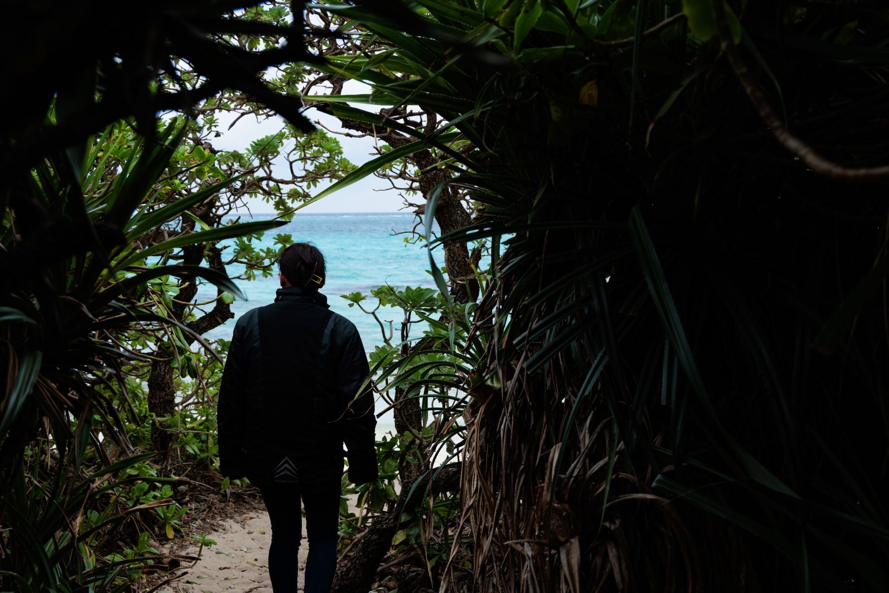 池間島の隠れ家スポット、オハマビーチへ続く緑豊かなジャングルの小道