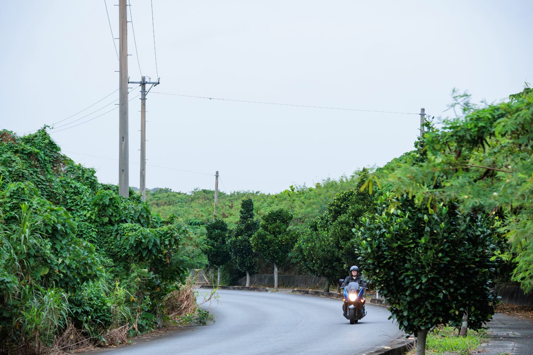 比嘉ロードパーク付近の緑豊かな県道83号をバイクで南下する様子