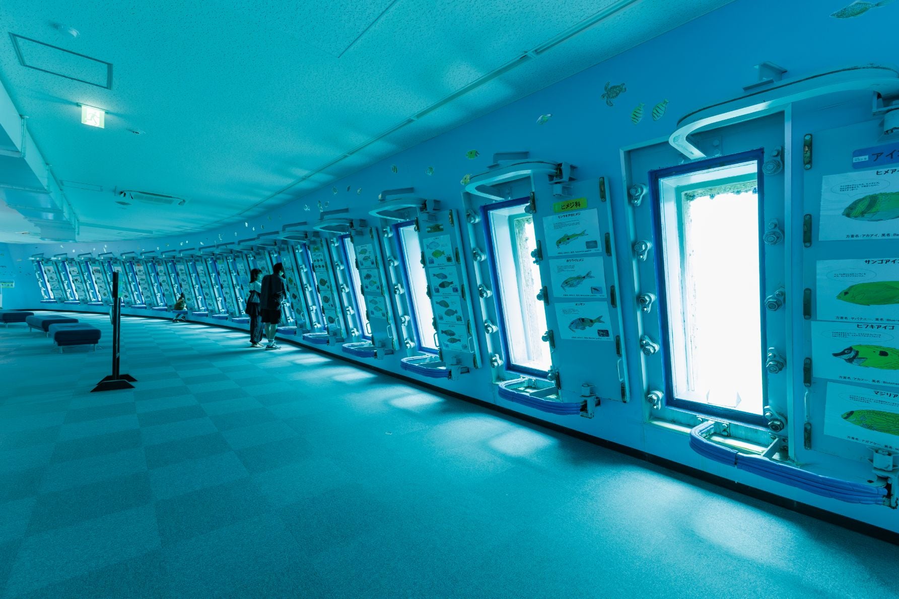 宮古島海中公園の海中世界