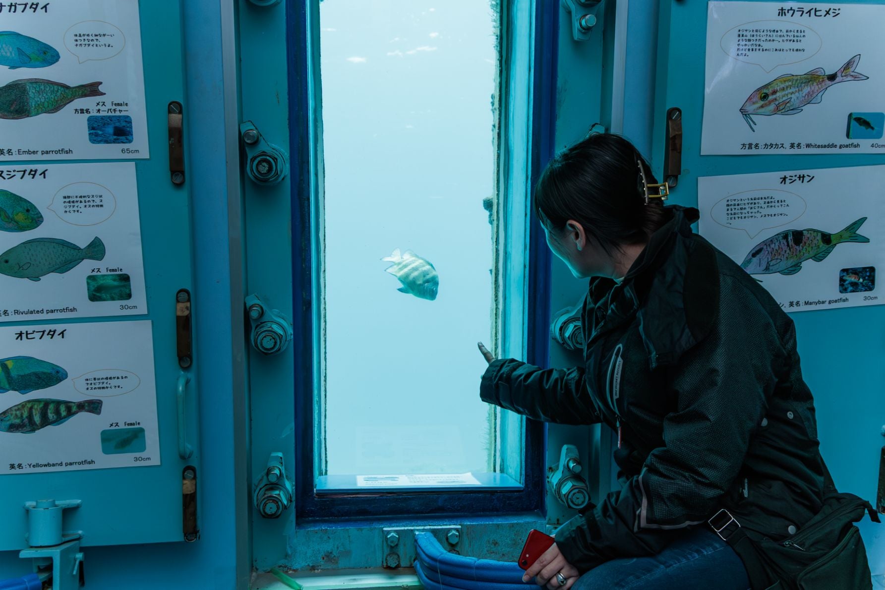 水圧に耐える12cm厚のアクリル板を使用した海中公園の観察窓