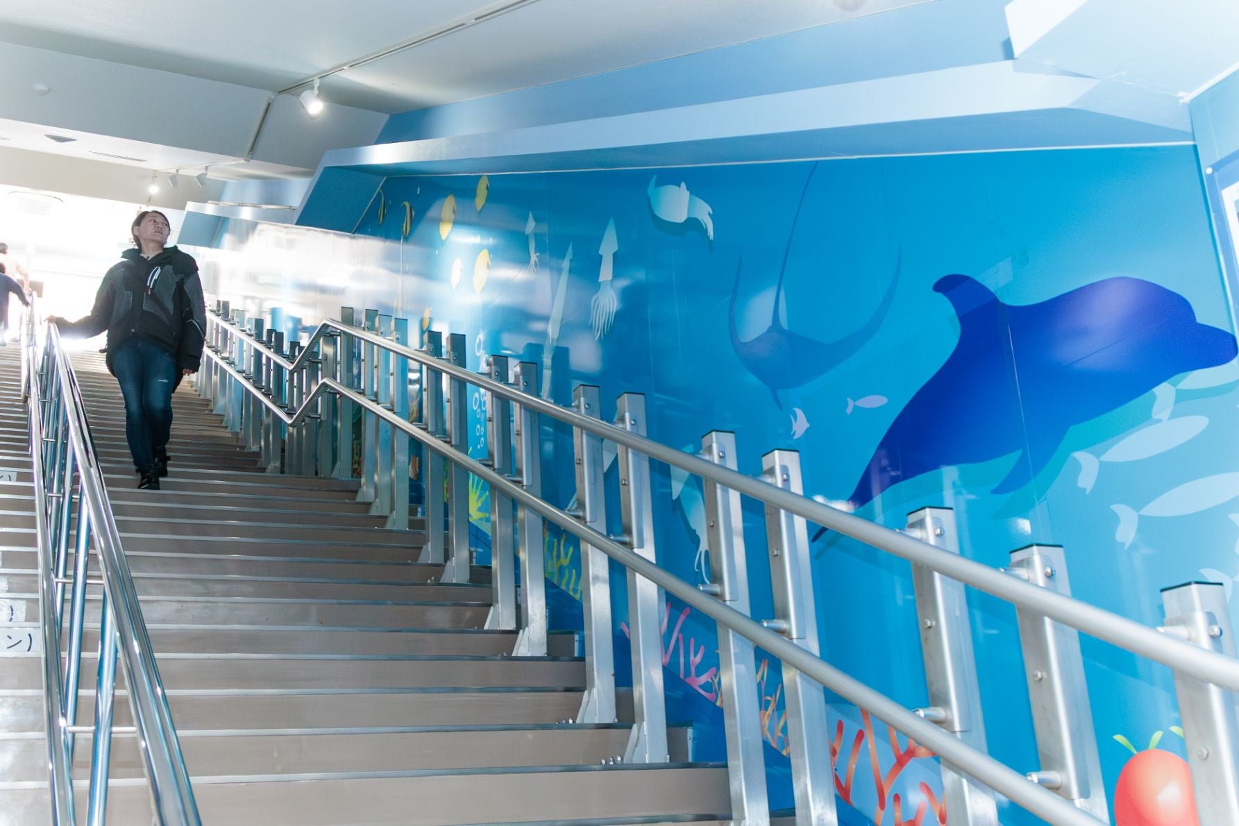 地上から海中へと続く宮古島海中公園の階段。水深3〜5mの世界へ降りる様子