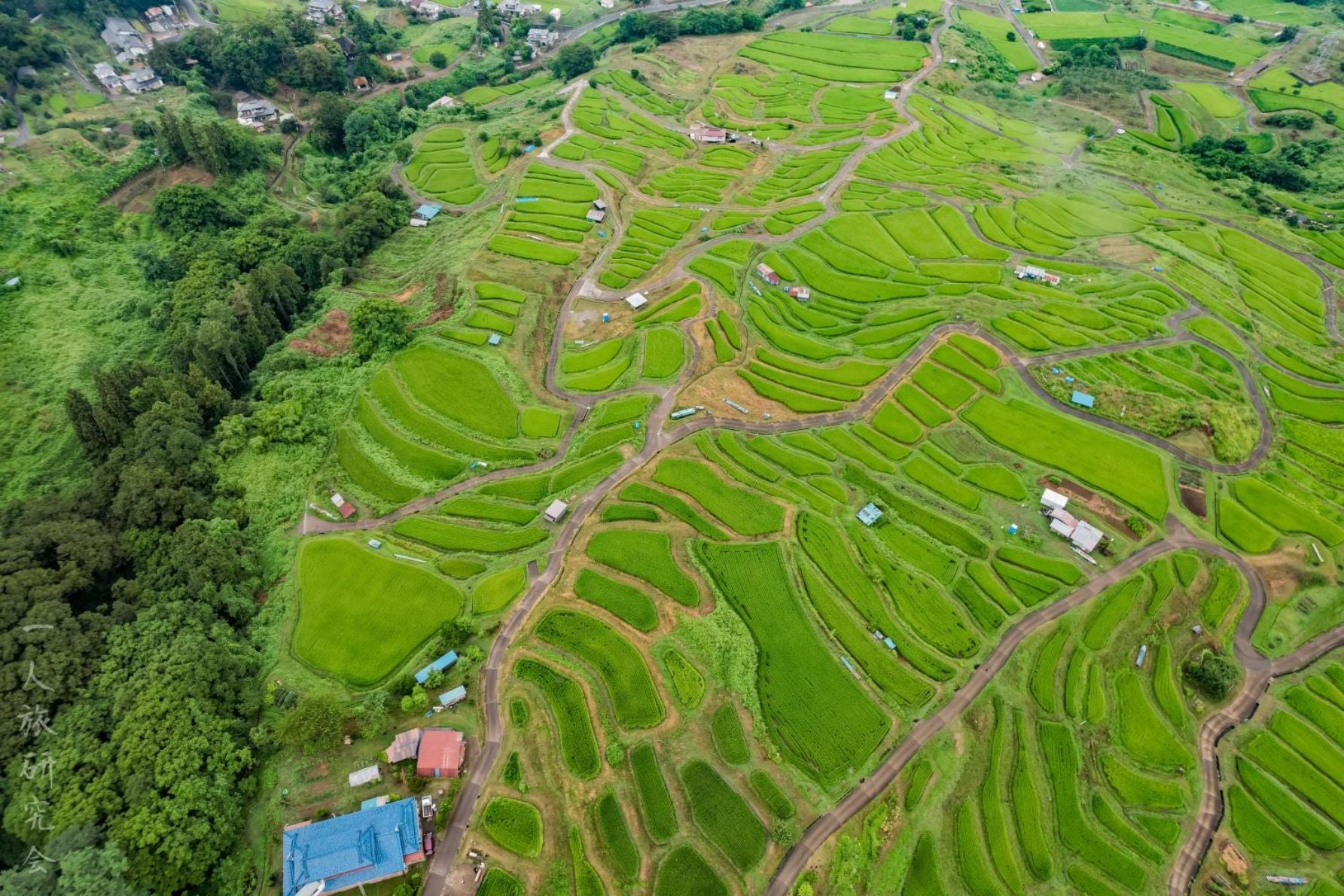 空撮写真の一例