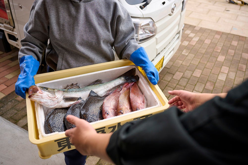 仕入れられた朝どれの魚