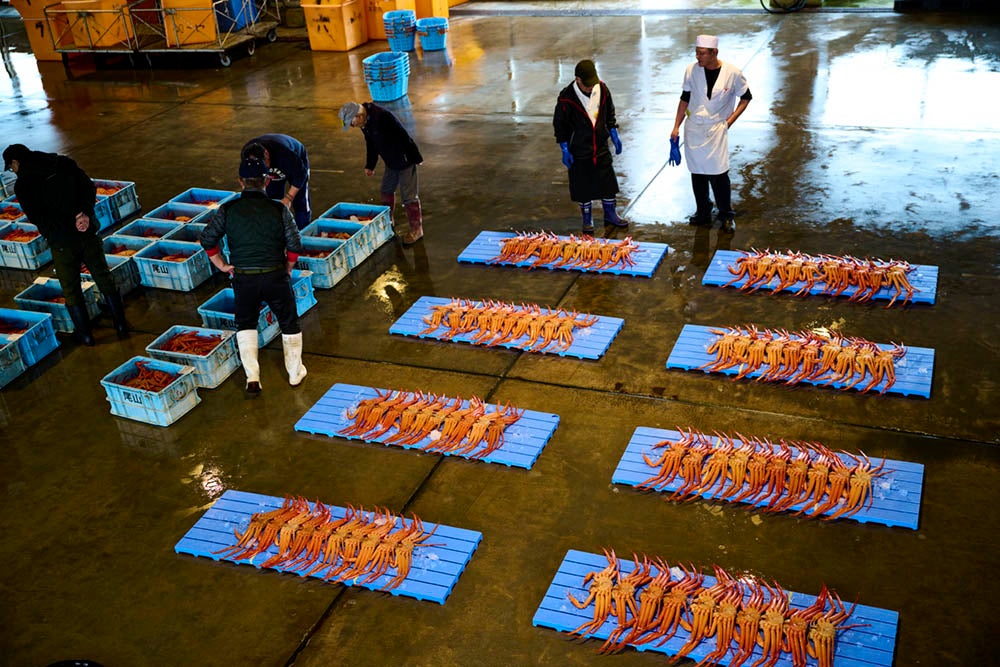 かにの昼セリの様子