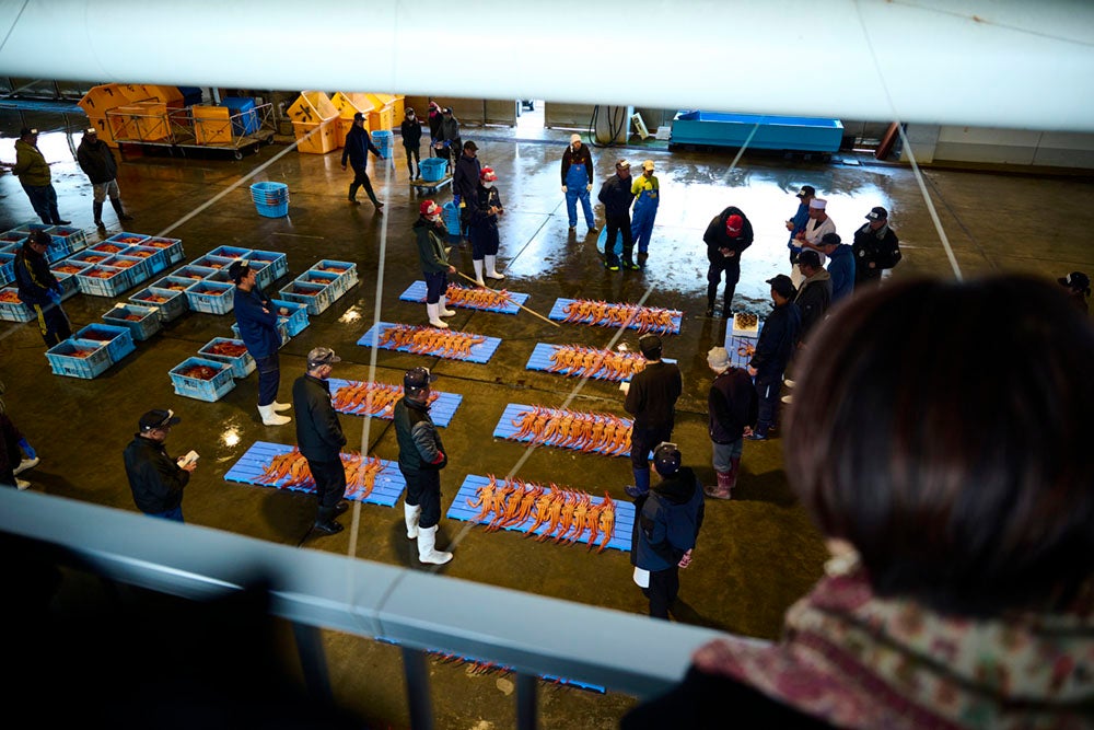 昼セリが始まった