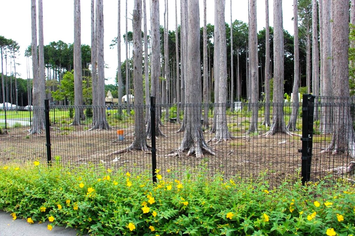 網フェンス越しのドッグランの写真