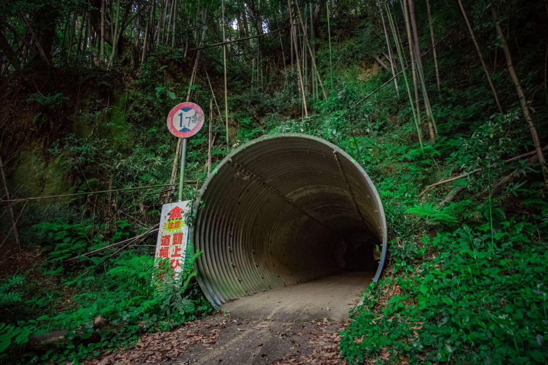 コルゲート管が使われた坑口