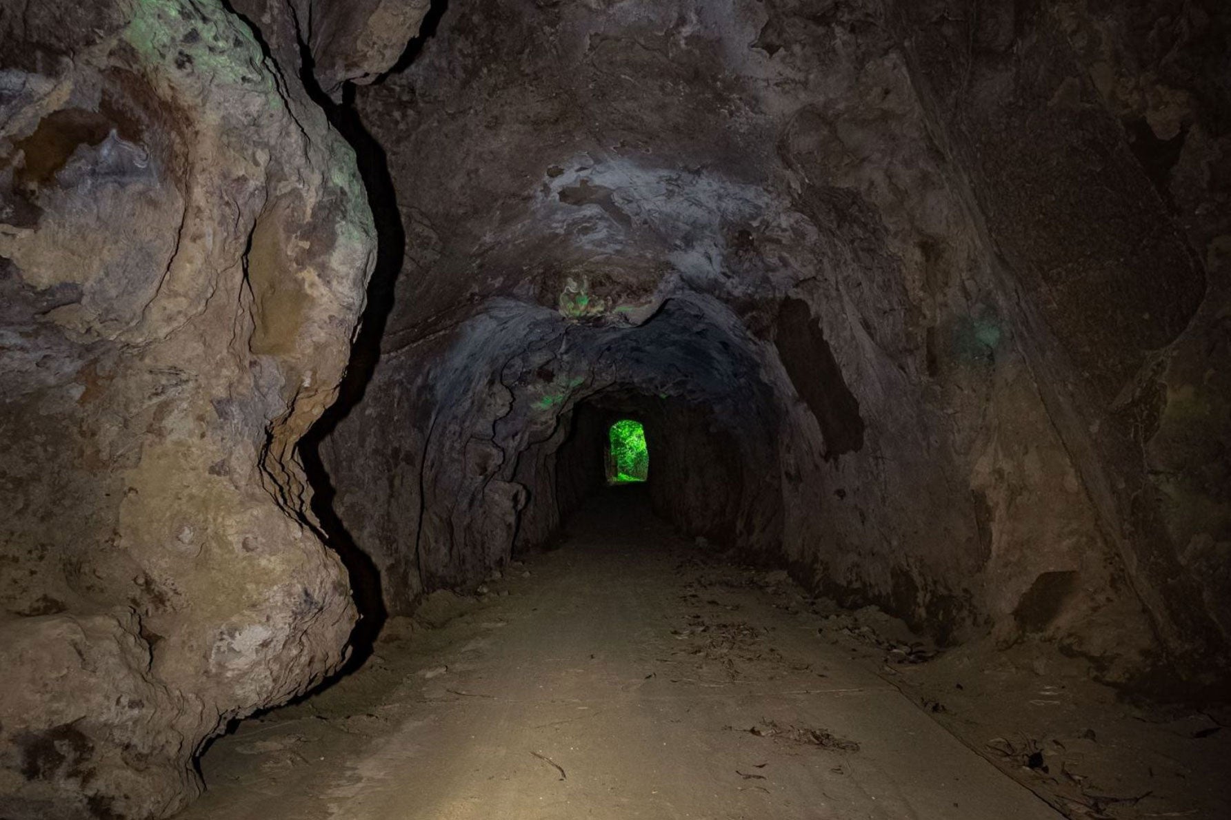 内部の様子。気を付けないと壁にぶつかりそうだ