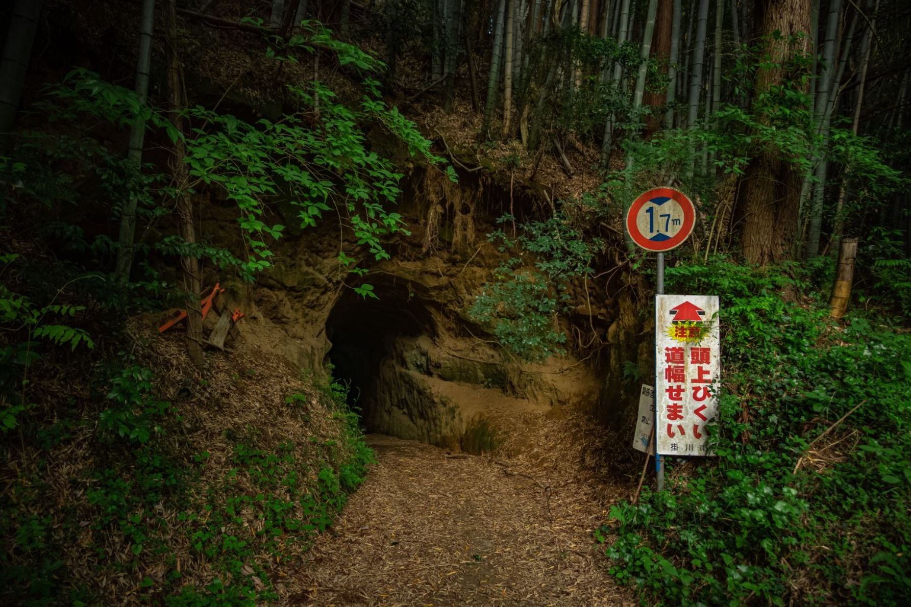 もう一方の坑口。素掘りのまま