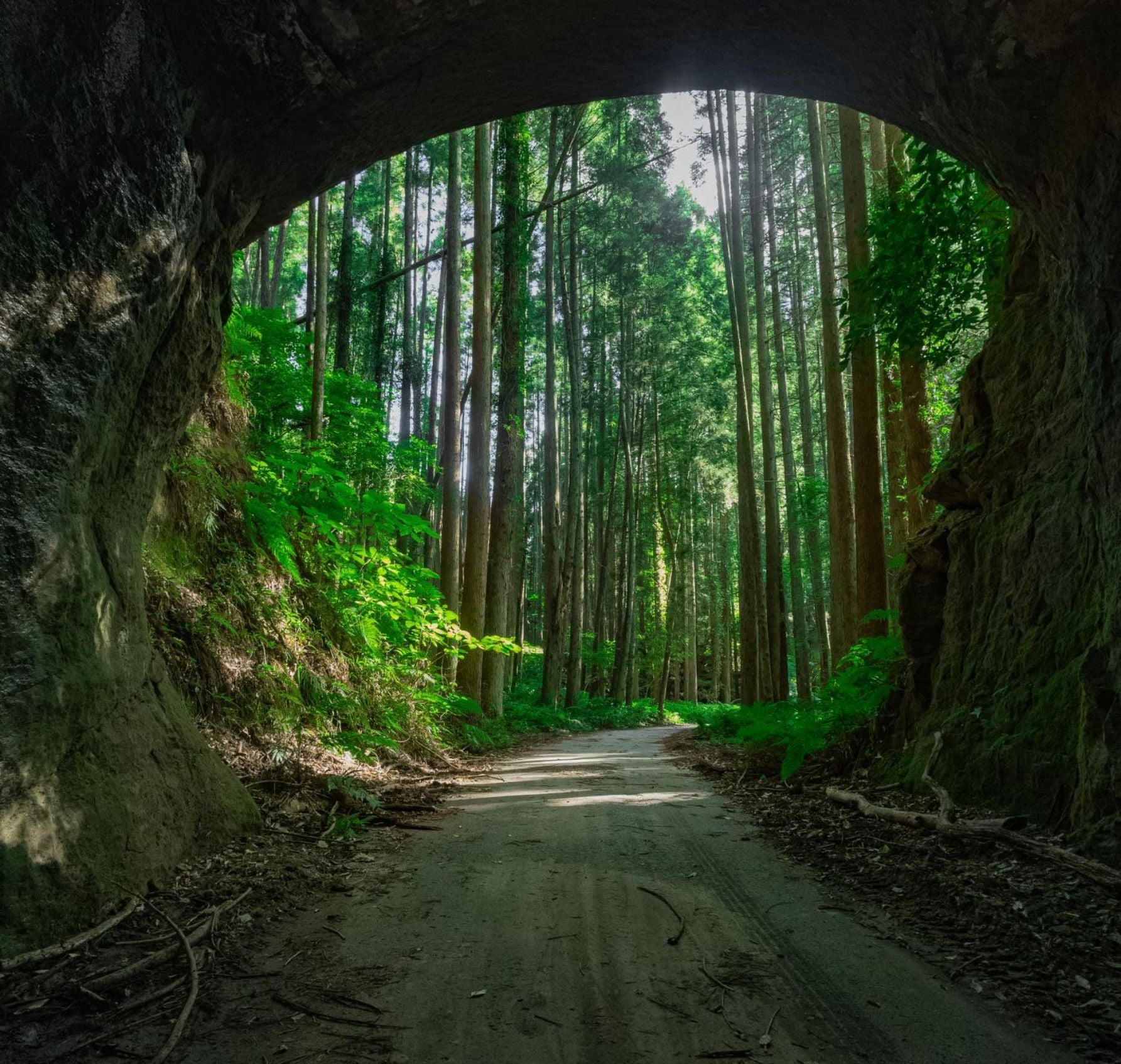 隧道内から外を望む