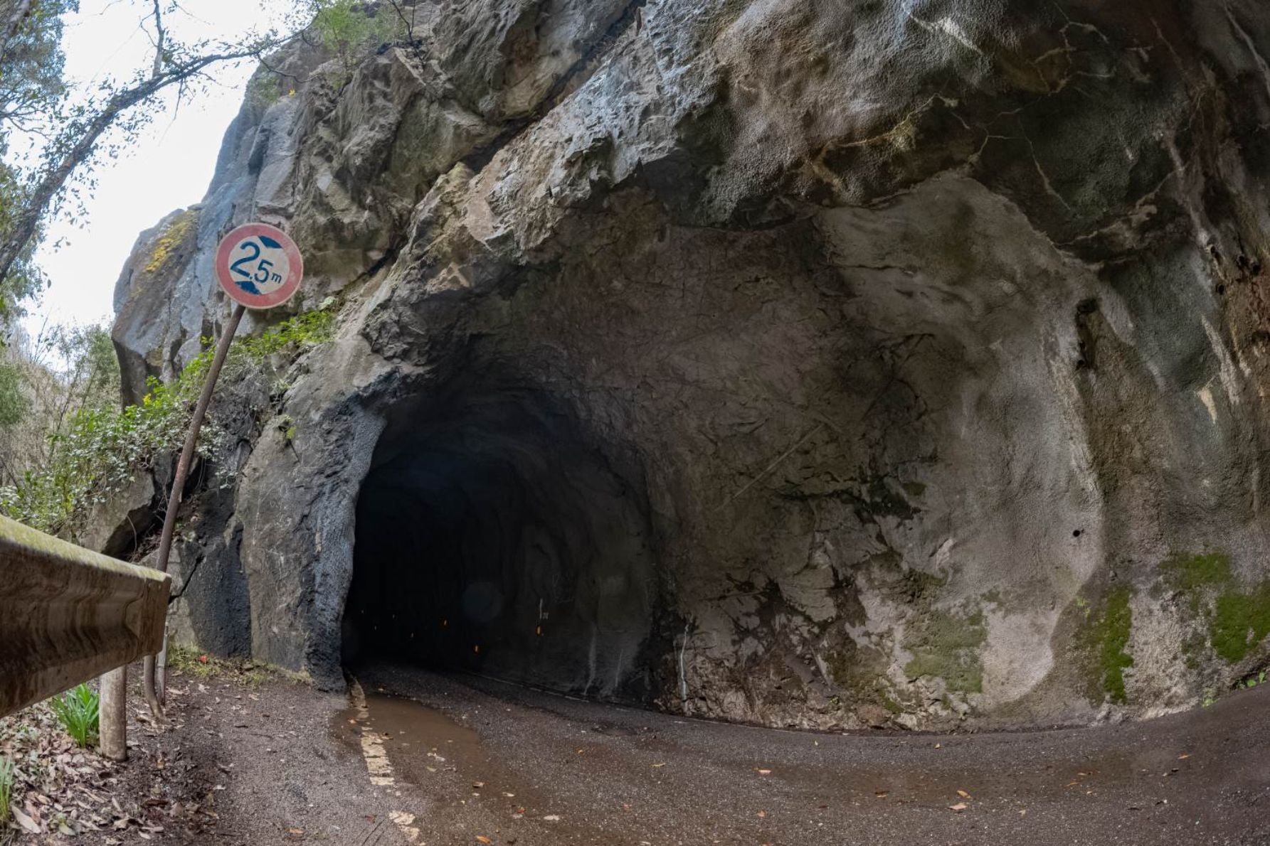 高さ制限は2.5ｍ