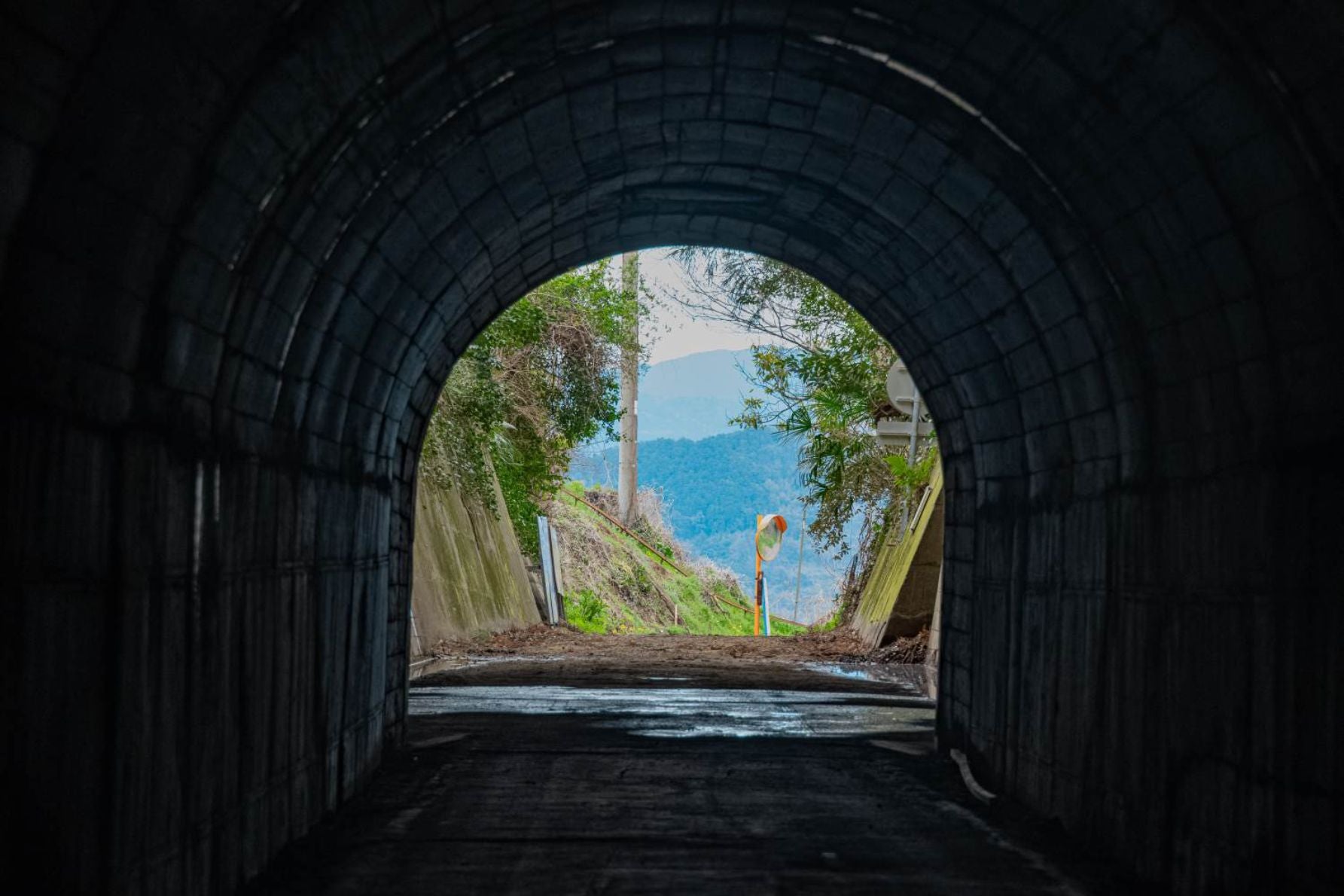 道の先は良い景色が広がっていた