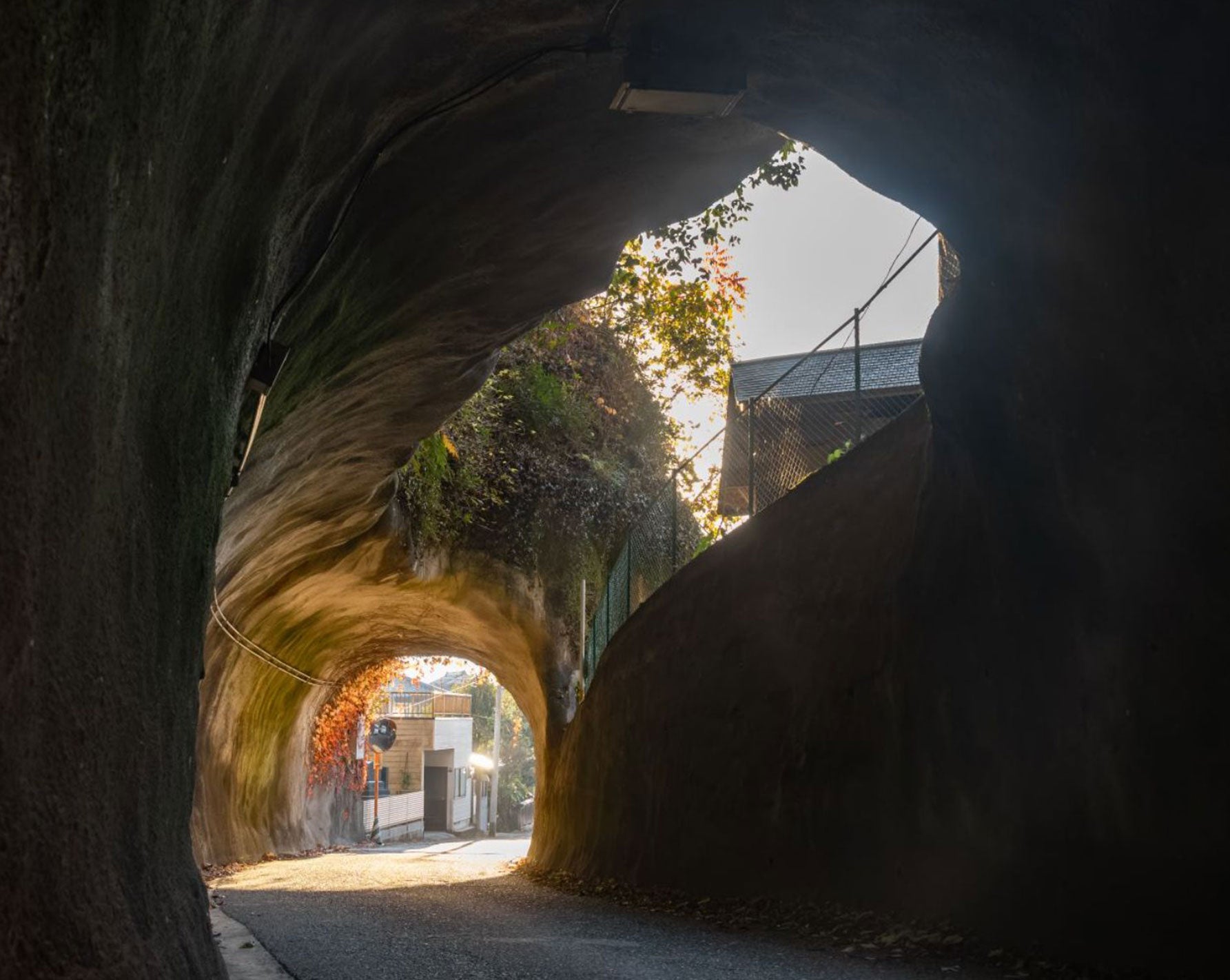 だが、中に入ると…