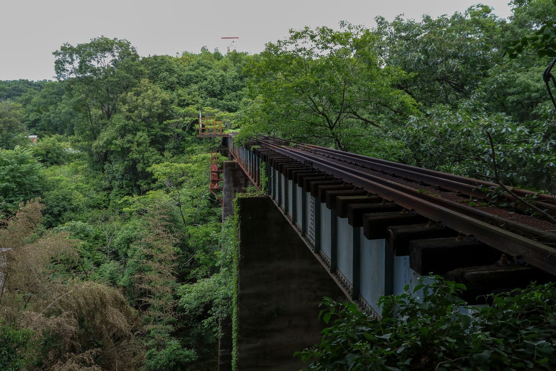 東海環状自動車道の下には、橋梁（きょうりょう）が残る。遊歩道の突き当りに位置するが、入ることはできない