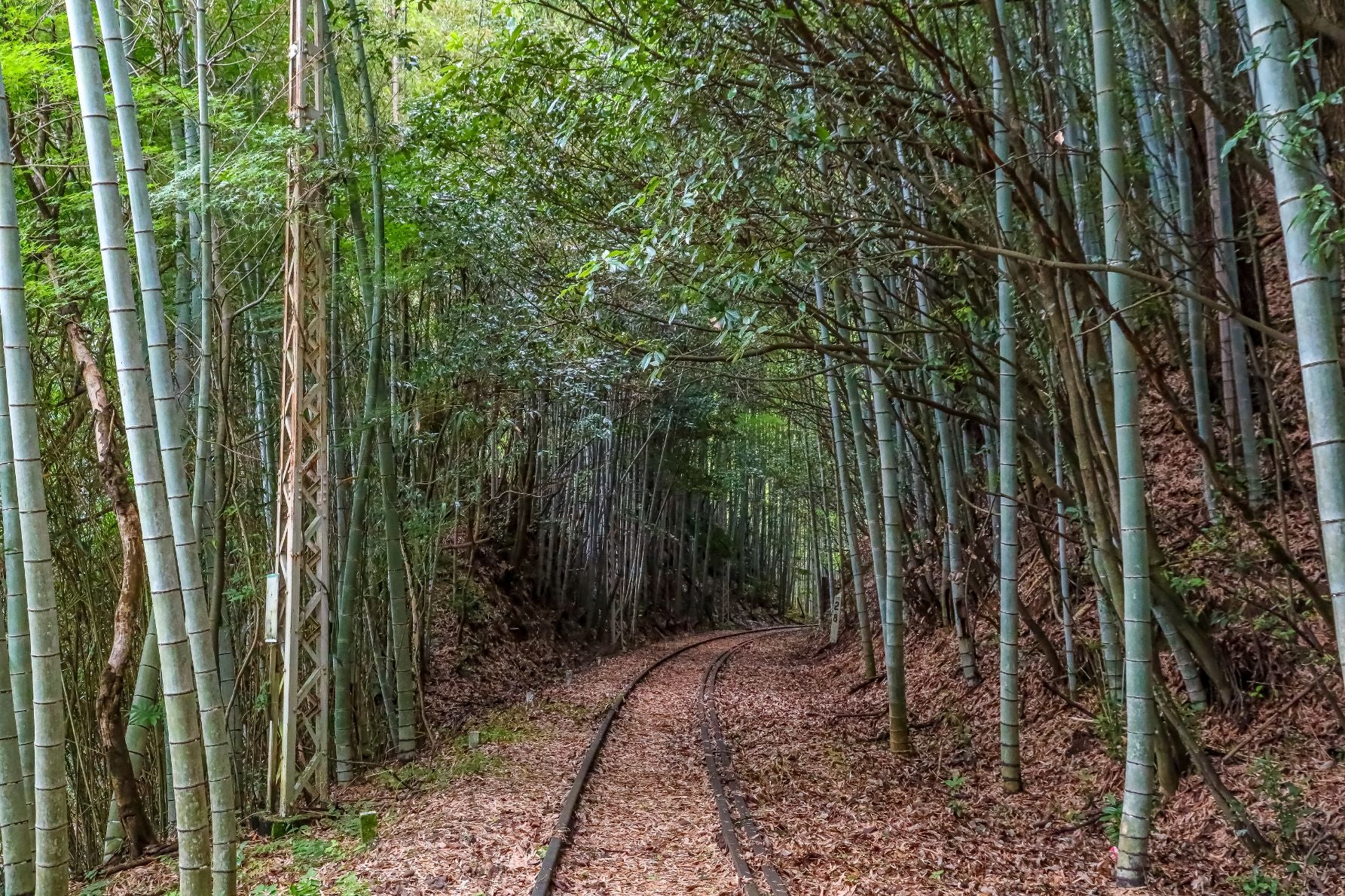 旧三河広瀬駅を過ぎると矢作川から外れ、さらに山あいへ入ると、橋梁跡が広域農道沿いに現れる