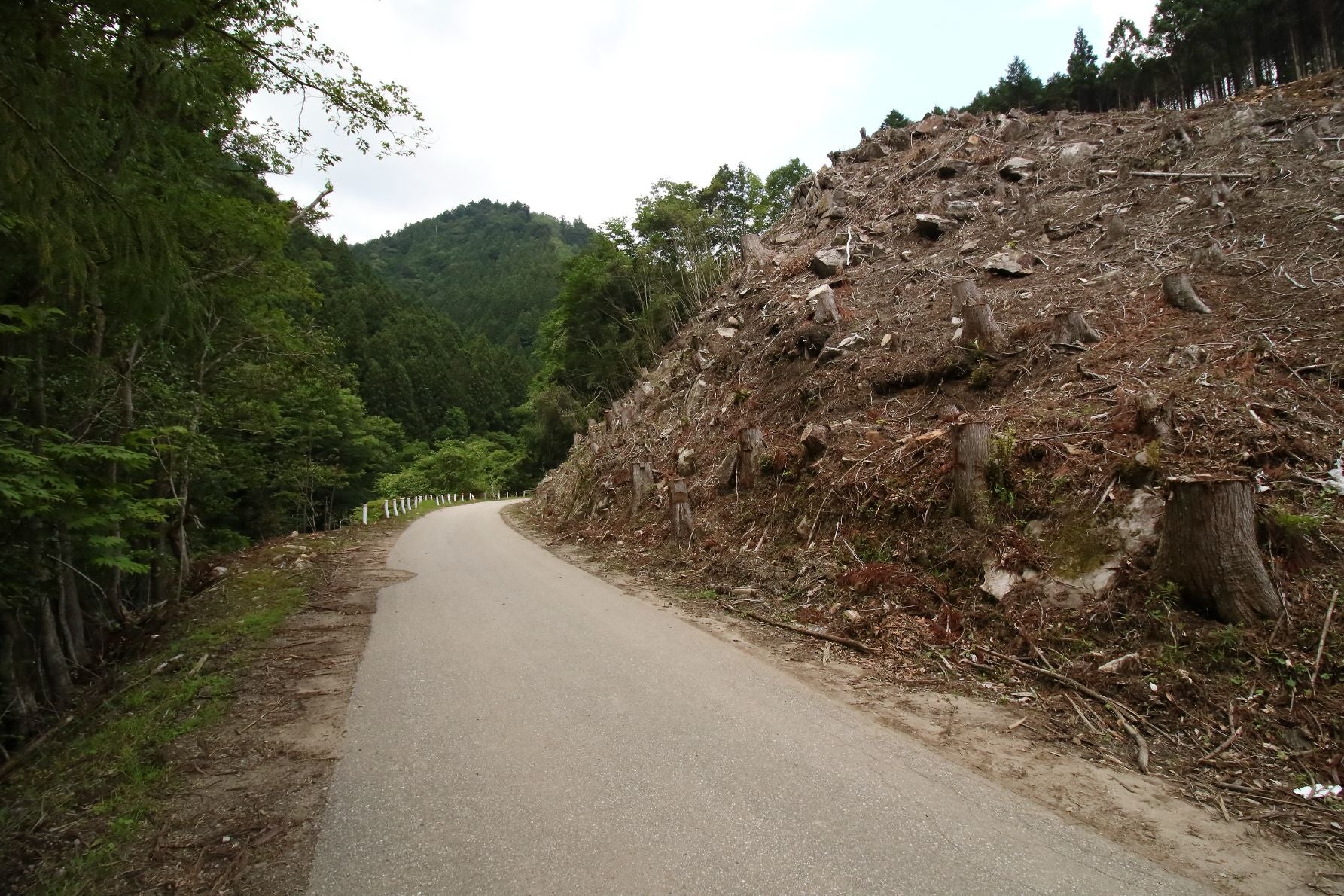 鉄道線路だったままの幅で道路として残っている。工事車両も通過するため、道は荒れている