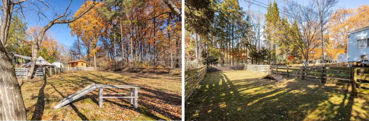 ドッグランの2枚組写真