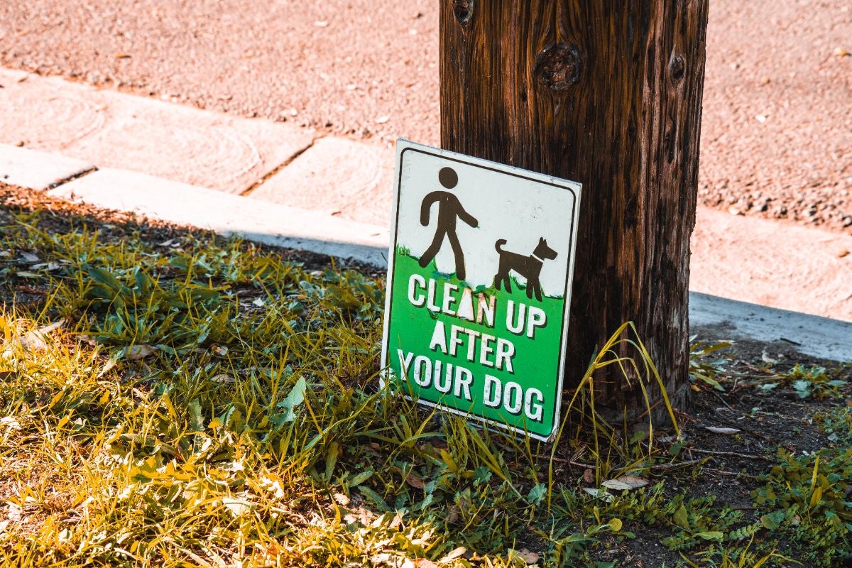 犬の散歩マナーの英語看板