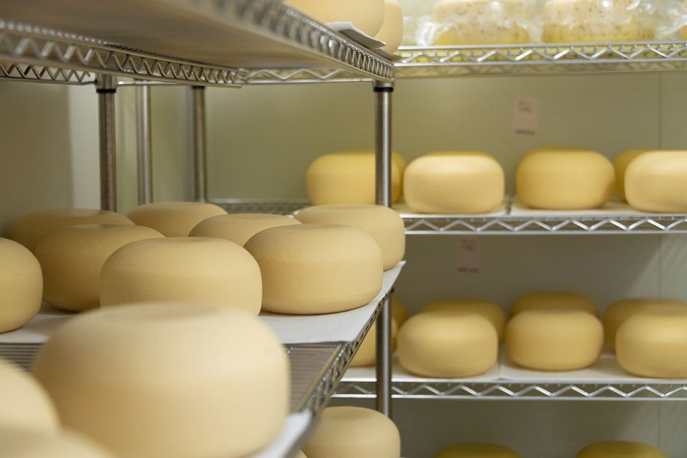 岩手県産牛乳のみを使用した、トロイカ店舗横のチーズ工房の様子