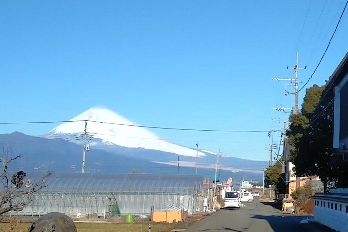 ビニールハウス越しの富士山の風景