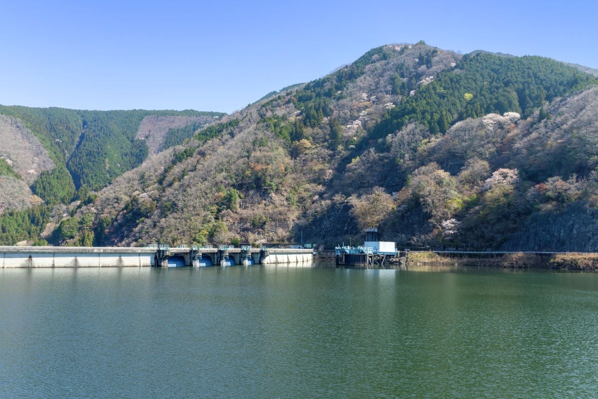 矢作ダム越しに見える奥矢作湖と、山肌に点在する桜の風景。