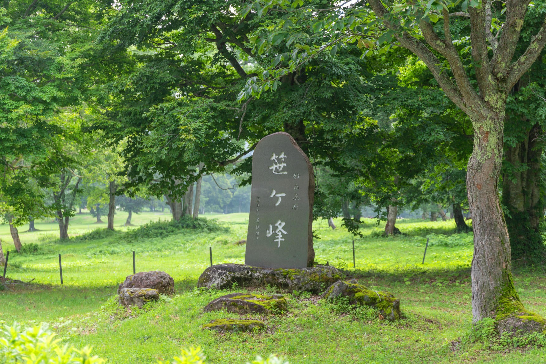 ALT ひっそりと佇む「笹ヶ峰」と記載された石碑は、ここが目的地であることを実感させてくれるスポット